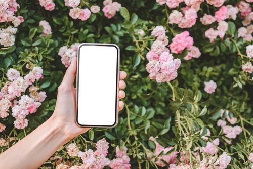 Blank Phone in Front of Pink Flowers - Wedding Website