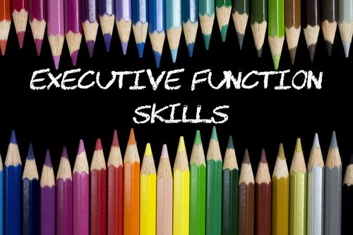 Executive Function Skills