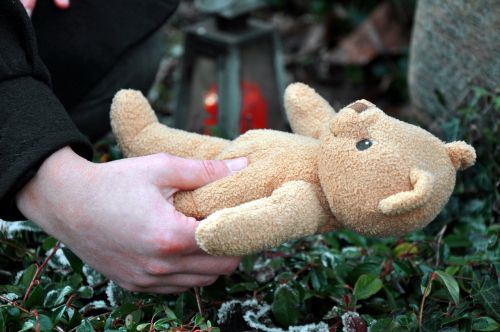 Teddy Bear on a Grave