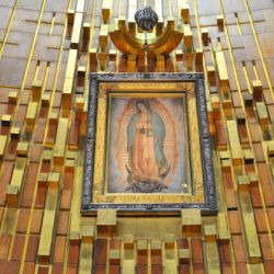 Our Lady of Guadalupe Festival Draws Crowds Across the Americas