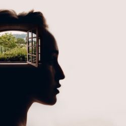 How To Cultivate an Open Mind