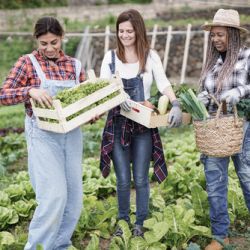 The Benefits of a Community Garden