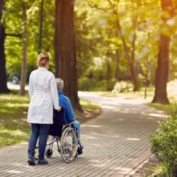 Palliative Care Vs. Hospice Care: End-of-Life Options